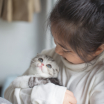 Din katt är inte så självständig som du kan tro